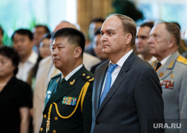 ���������� �����: ������� �������� ������� � �������� ���� � ���