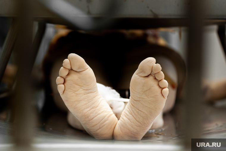 ��������� ���������: ���� ������� ��� ���� ��������������� �� ������� �����