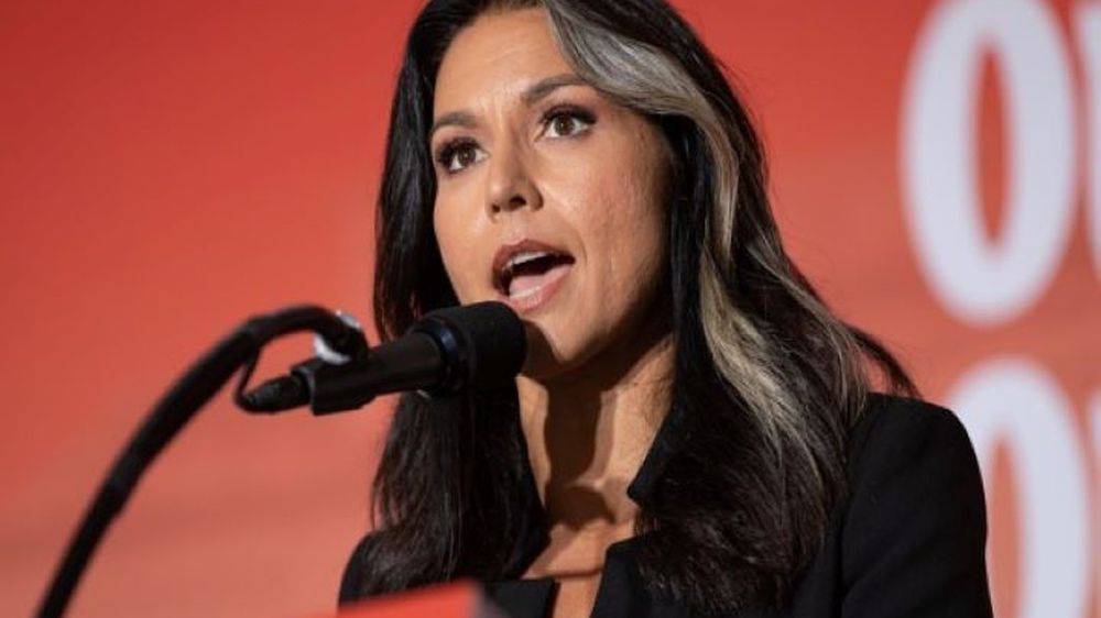 Экс-член Конгресса США обвинила Украину в хищении денег американцев