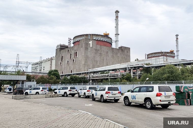 ������ �������� ����������������� ������ � �������� �� ����