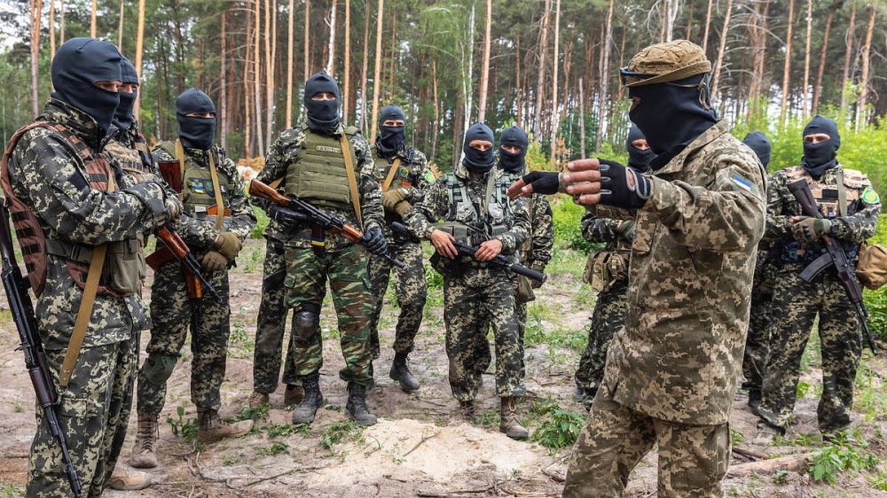 ����� ������ "����" ������ � �������� ������� ����������� ��������� �� �������