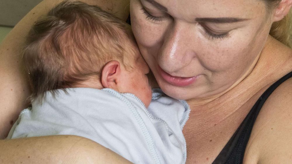 ������� ������� � ��������� ���: 27 ������