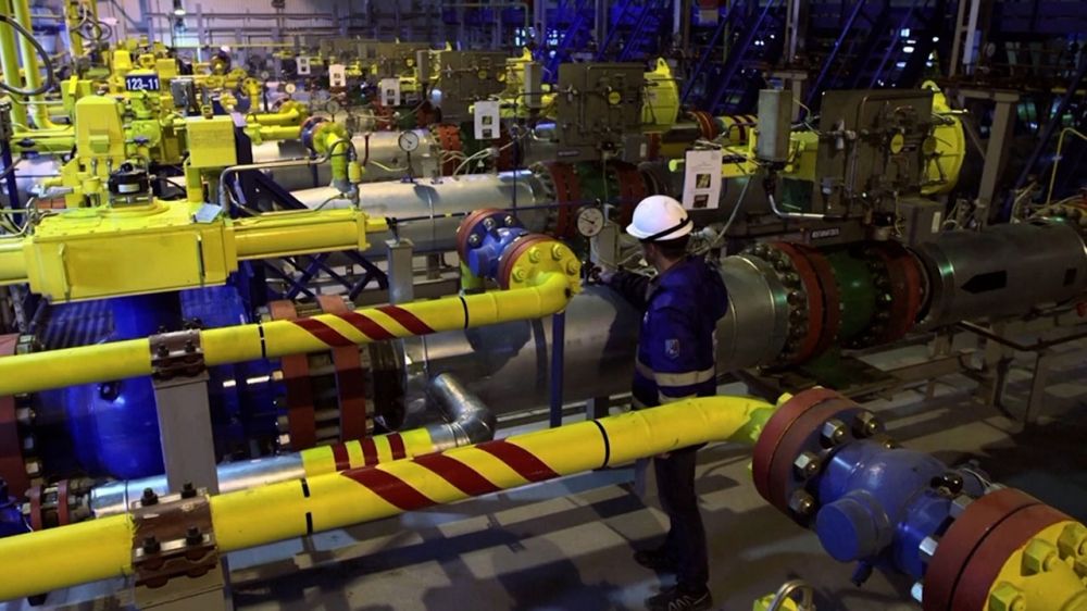 Европейские дрова и пункты обогрева:обратная сторона экономической блокады России