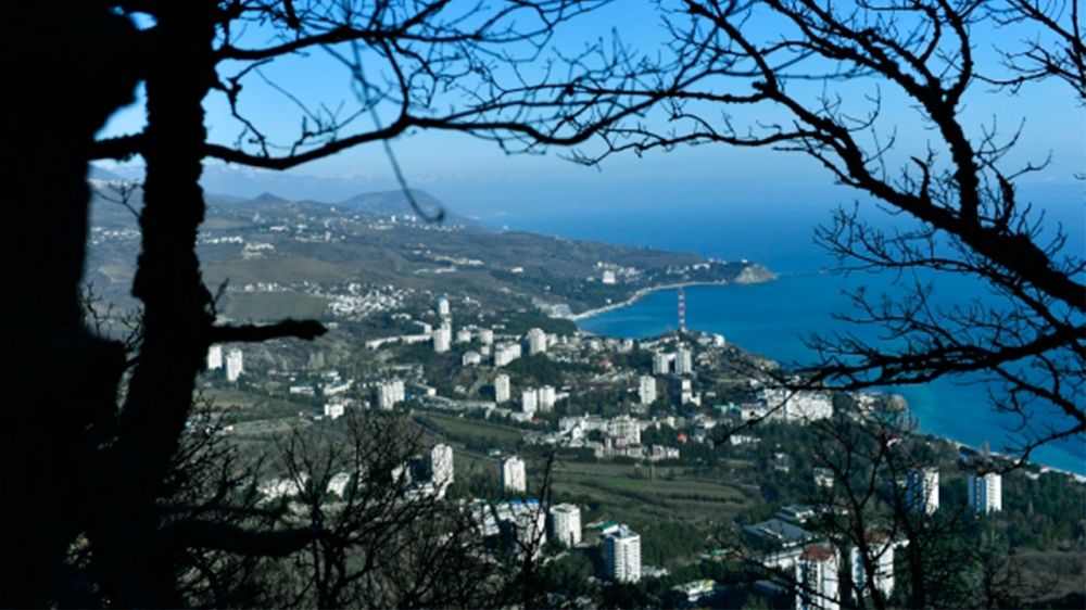 ����: ������� �������� �������� �� ������� ����� � �������� �� 2023 ���