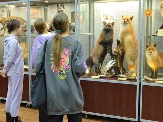 В зоомузее города Кирова поселились кот да пес