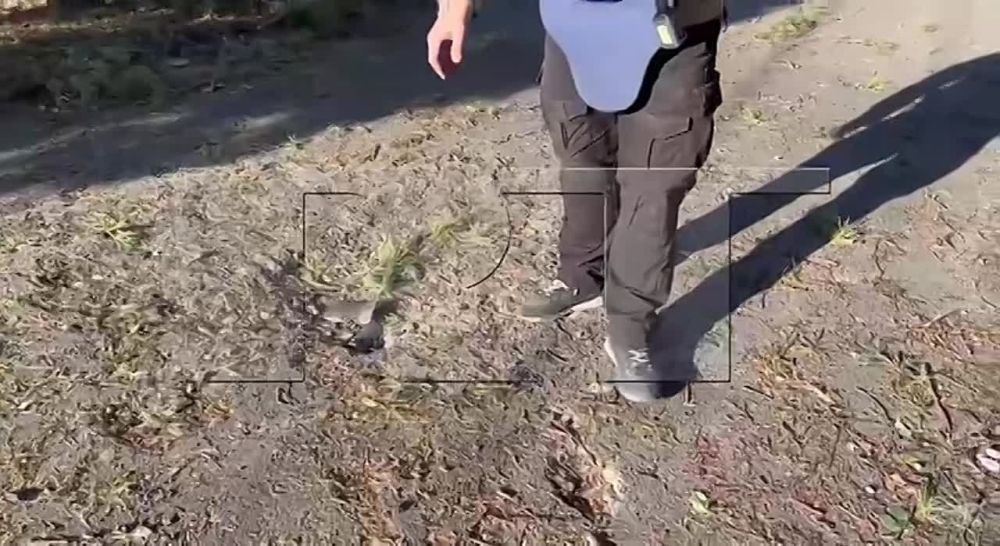 ����� �������: ���������� ������������ ���������� �������� ������ ������� ���. � �������, ��� � ������ ����, ������������ � �������� ������ �������, ��������, � ����� ������� ����� �����������