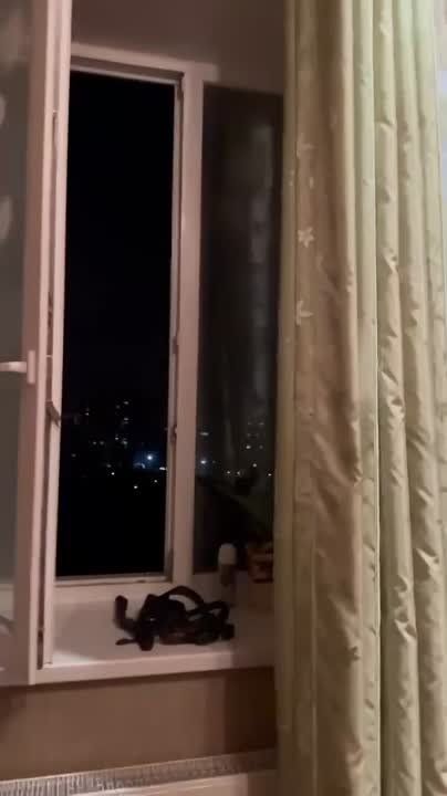 ������ ����������: ����������� ������������ ����� �������