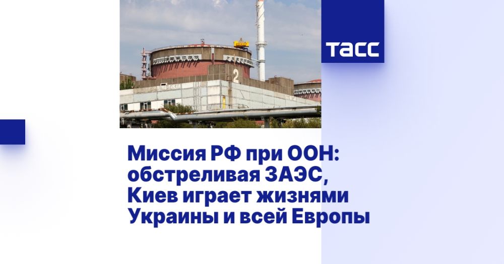 ������ �� ��� ���: ����������� ����, ���� ������ ������� ������� � ���� ������