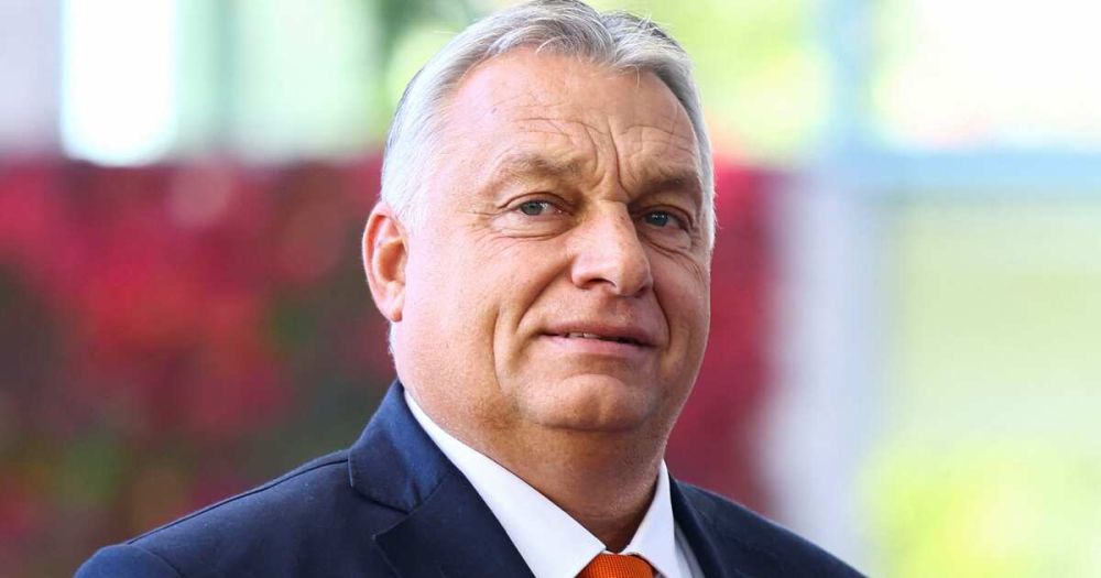 ������� ������� ������� ����������� ��������� ������� ����������