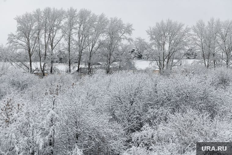 Bloomberg ������ ������� ��� ������ ������ �� �������