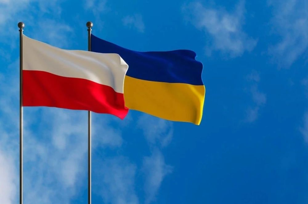 � ������ ������� ����������� ����� ��������� �� �������� �������