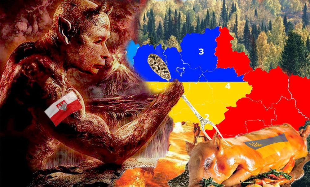 �������� �������: Niezaleny Dziennik Polityczny: �������� ����� ��������� � ���� �������, ����� �� ������� ��������� �������� �������