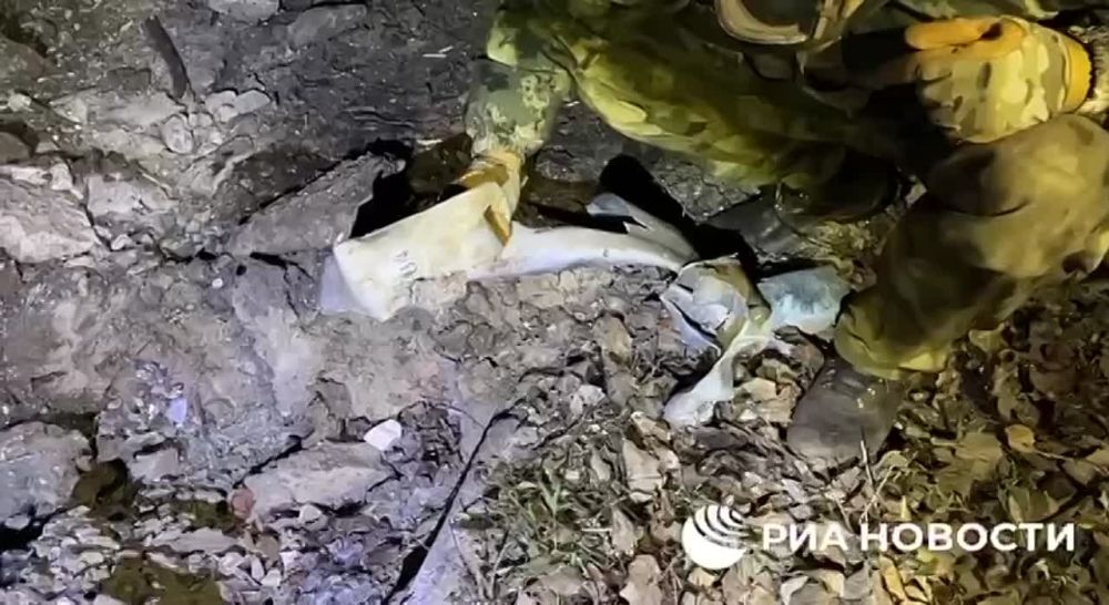 ���� �������: ����������� ����������� �������� �� ��������� ������ �������