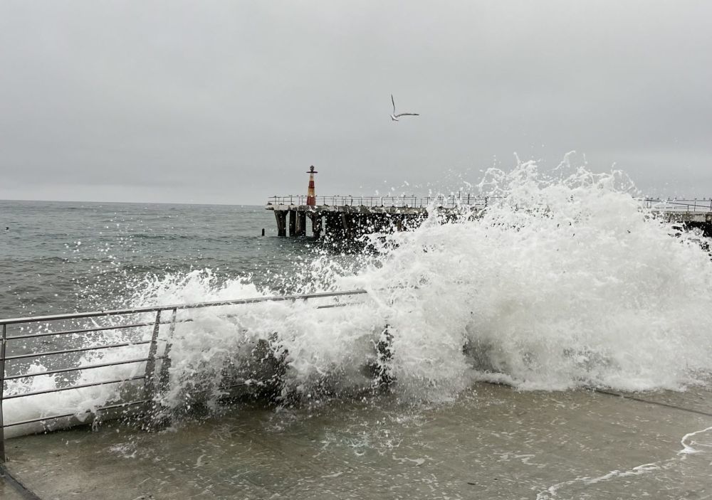 ��������� ������ ������� ��������� ���������� ������� � ��������� ����� � ���������� ����� ������