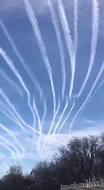 ���� ���������: ���������. ����������� ������ � ������� �����