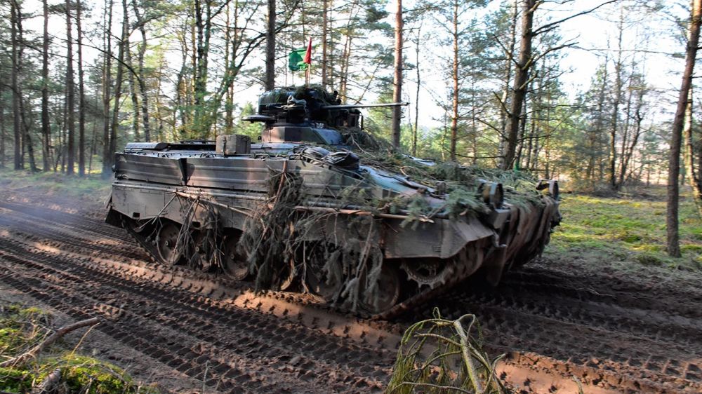 Spiegel: ��� ������������ ���� ��������� ����� 40 ��� Marder