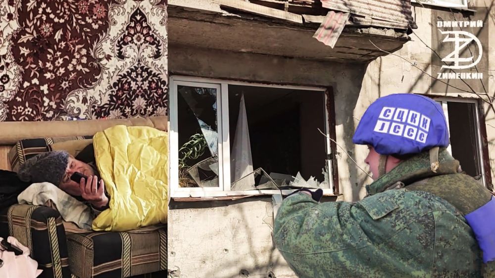 ������� ��������: D������ Z. 23 ����� 2022