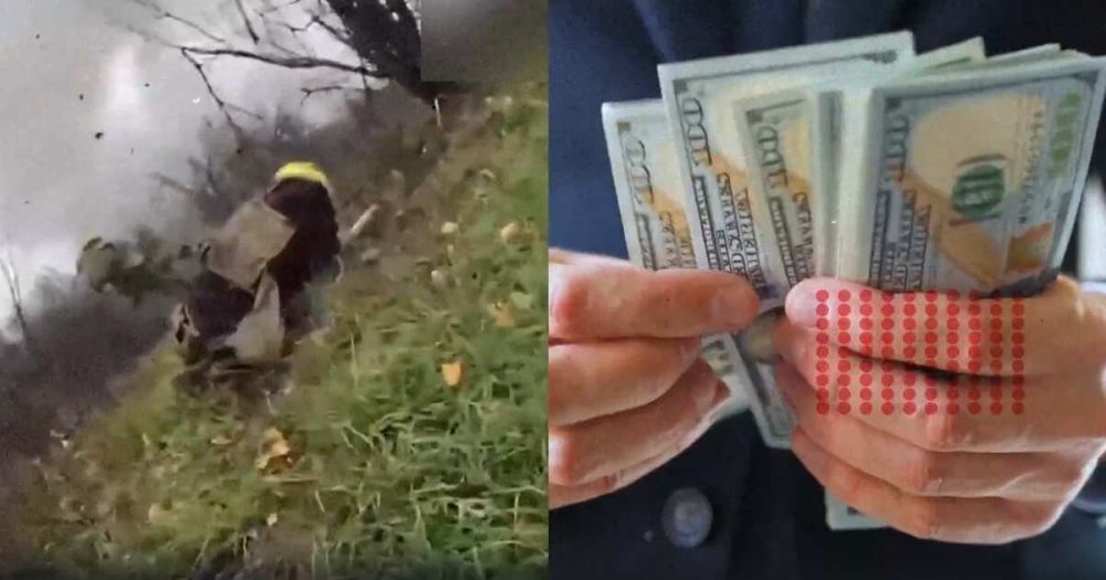 ���������� �� �������� � �������: ��� ������������ �������� "������"