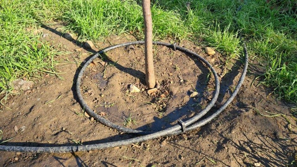 В Ялте устанавливают автоматизированную систему капельного полива растений