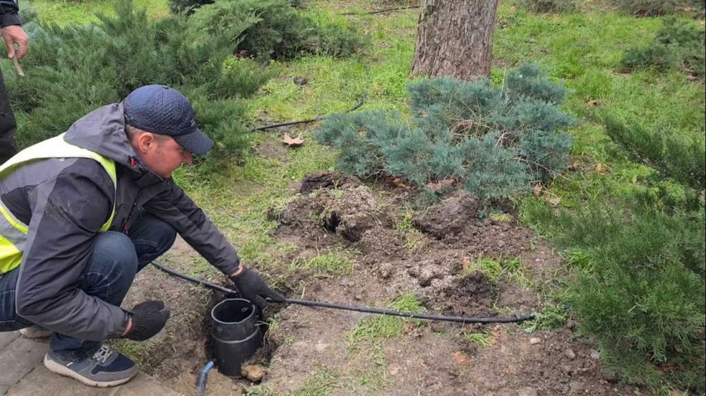 В Ялте ведется монтаж автоматизированной системы капельного полива