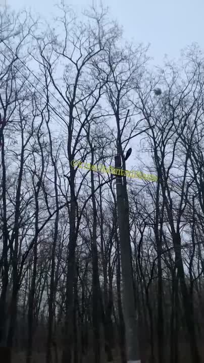 Кадры, предположительно, полета вертолета Super Puma за минуты до катастрофы