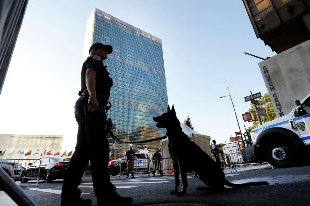 �������� � ��� ������ ���� ��������������� "���������" PR-�����