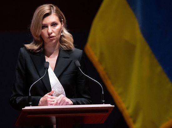 Вдове погибшего при крушении вертолета Монастырского пришлось встать перед Зеленской