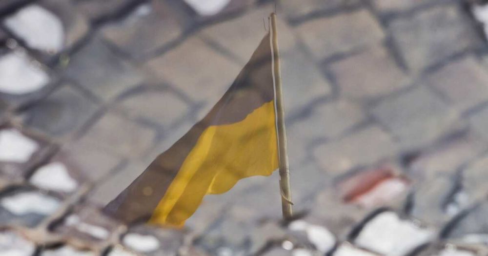 Стало известно о новой работе уволенного замглавы офиса Зеленского Тимошенко