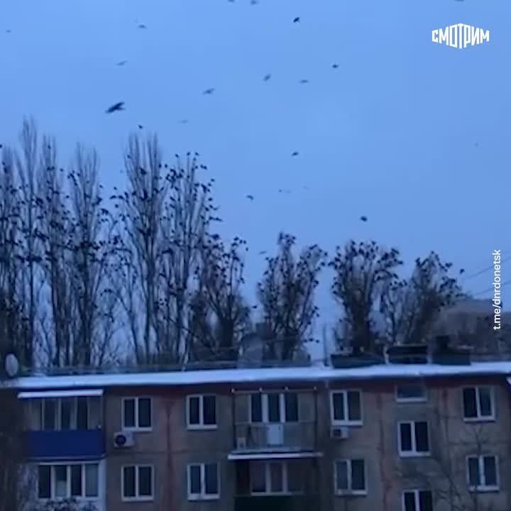 ���� ���������� �������� ���� �����