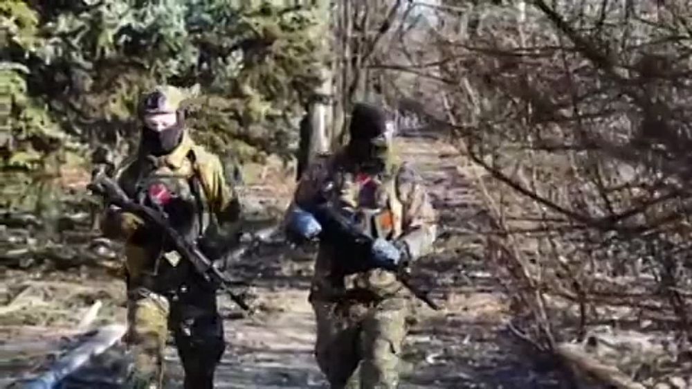 ������ ��������: �������� � ����! � �������� ������� ��������� ������� � ����!