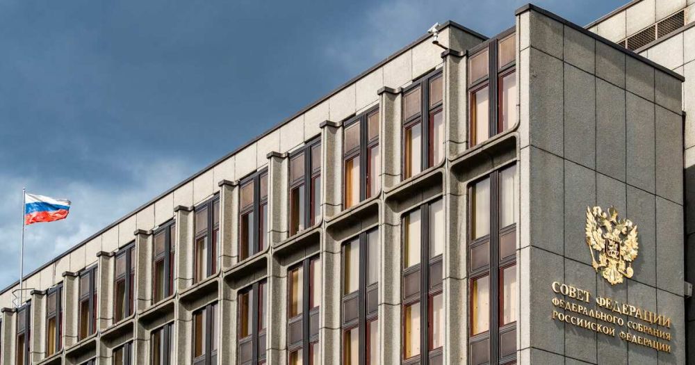 В Совфеде ответили на призыв Макфола о "большом взрыве" России