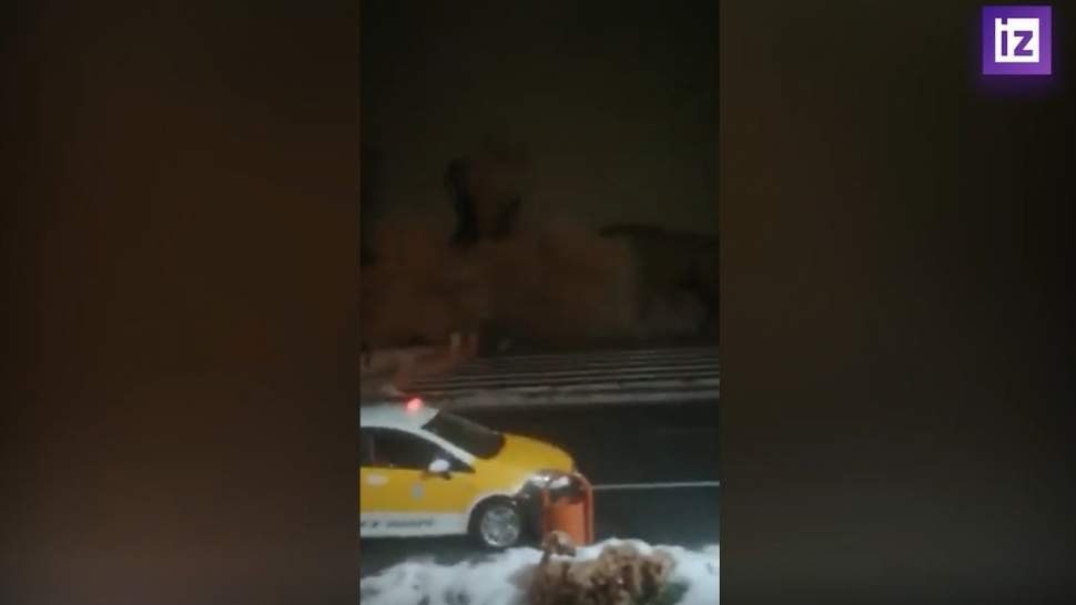 � ������� ���������� � ����������� ���������� ������ ������ ����� �������������