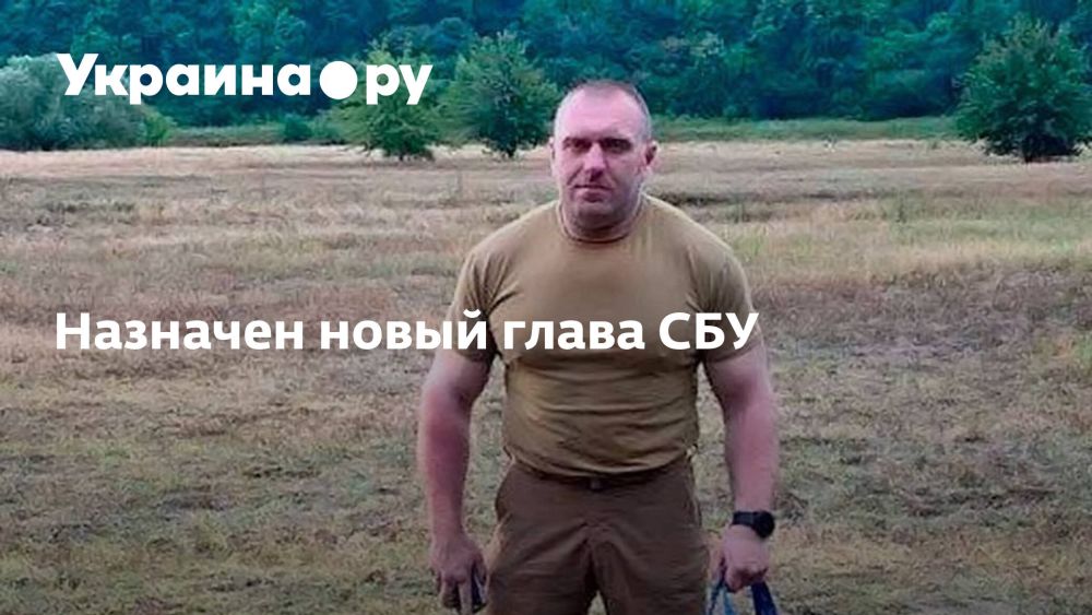 �������� ����� ����� ���