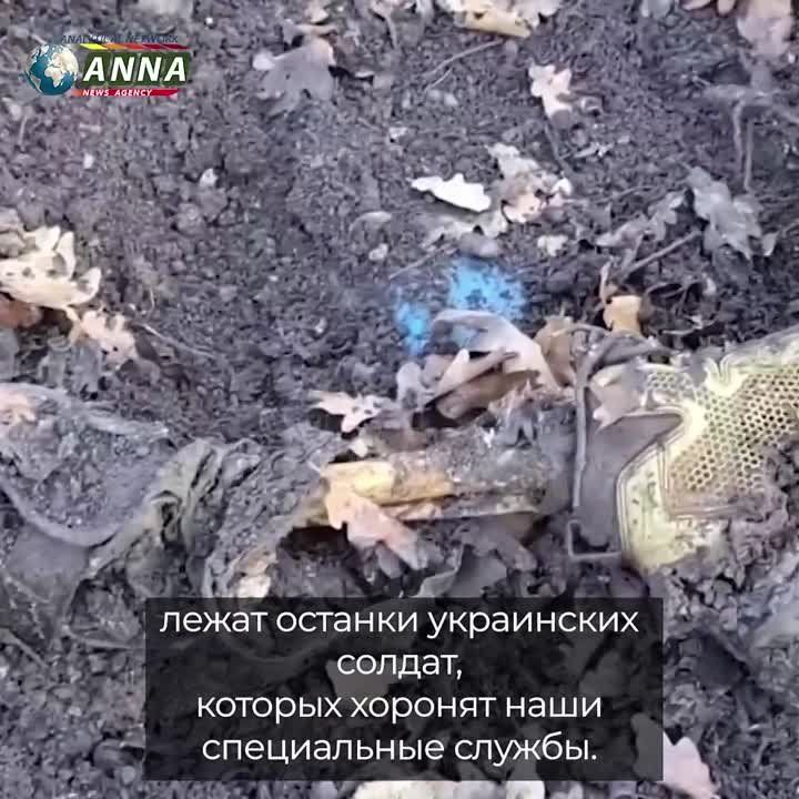 ������ ������ �� ����� ���������