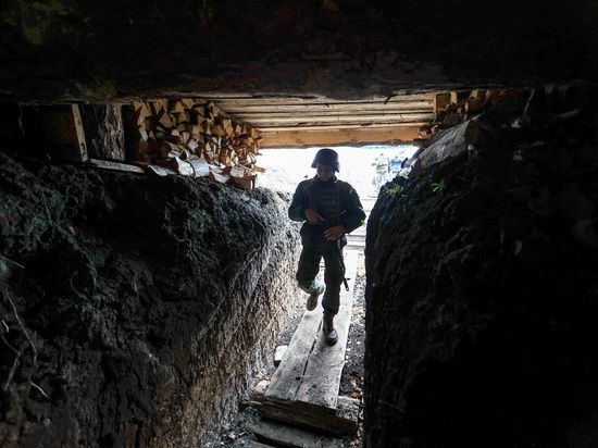 ��������� ������ ����������� �� ��� ��������������� ����������