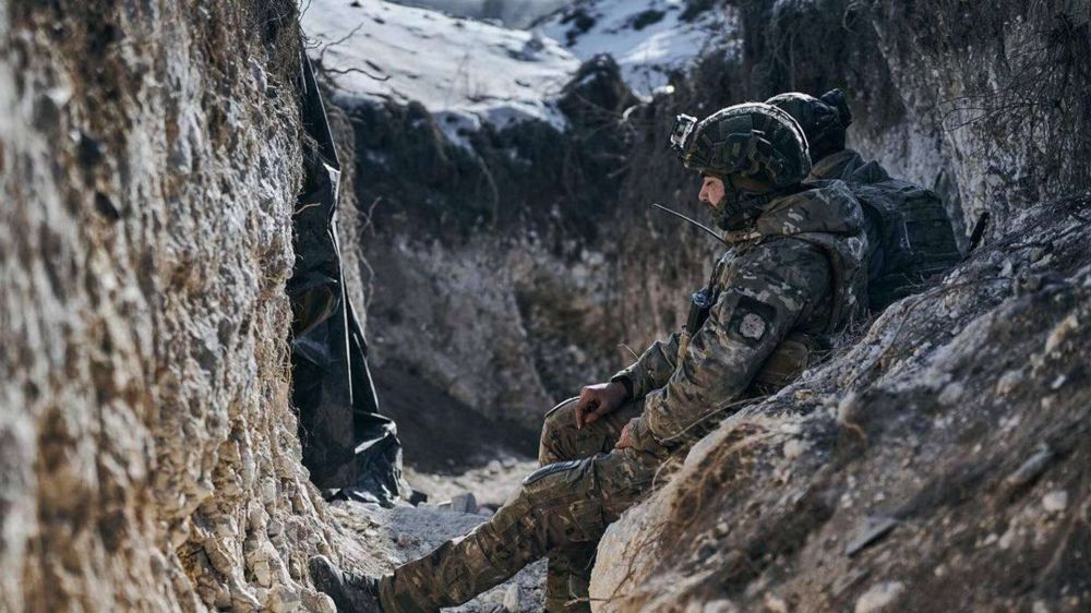 �������� "��������" ��� ���������: ����� ���� ������� ������� ����������