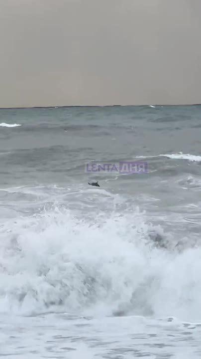 ������ ��������: ������ �������� ������� �� �������