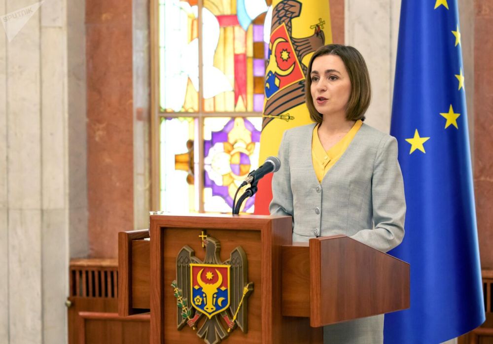 "���������� ���". �������� ������� "������ ����" ������