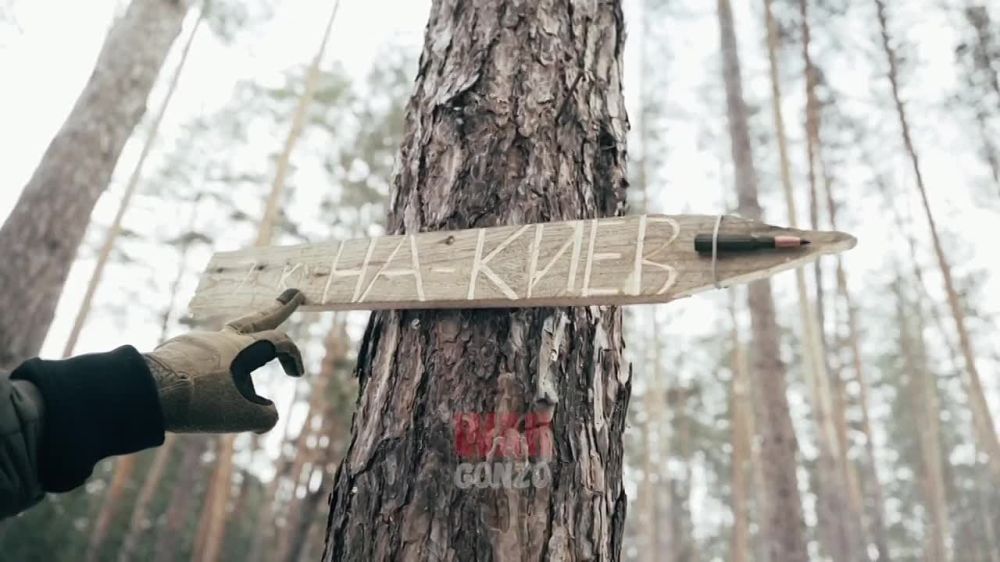 WarGonzo: ������� ����������, ��� ��������� �� �����?�