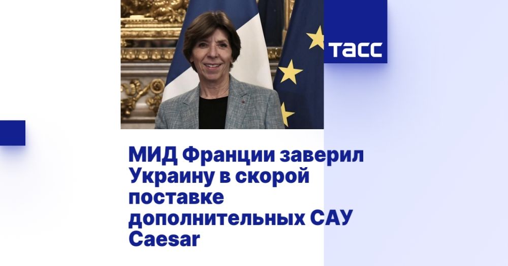 МИД Франции заверил Украину в скорой поставке дополнительных САУ Caesar