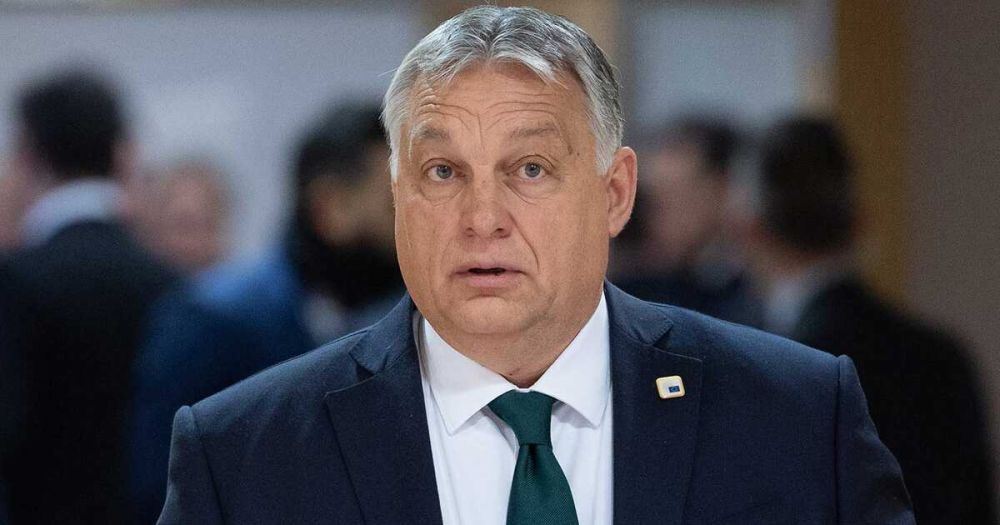 ������������� ������ ���������� �������� ������� ������������