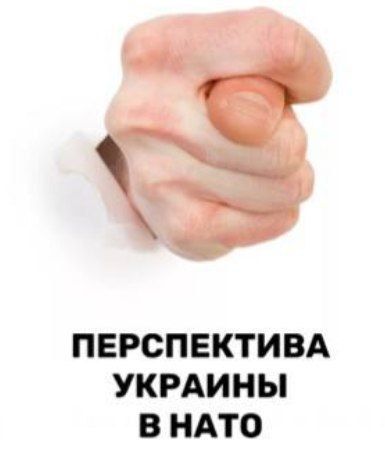 ���� ��������: ������� ������ ������ ����, �� � ������������ ����������� - �����������