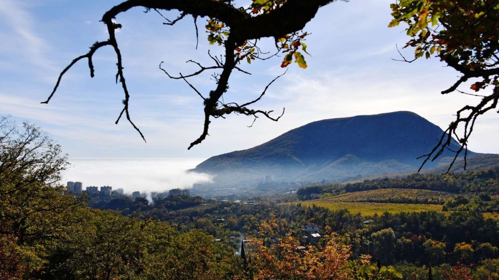 "������ ��� ���� �������": � ����� �������� ���������� NBC