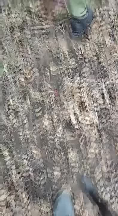 ���� �������: ����� ������� �� ������ �������