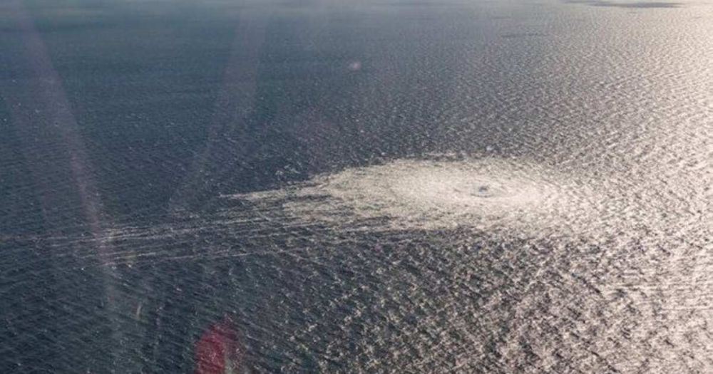 The Times: ���� �������� ���� ������� � �������� �� "�������� �������"