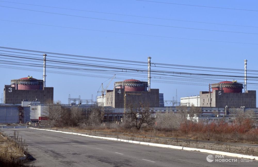 �������������� "���������" ������������ �������������� ����������� ���