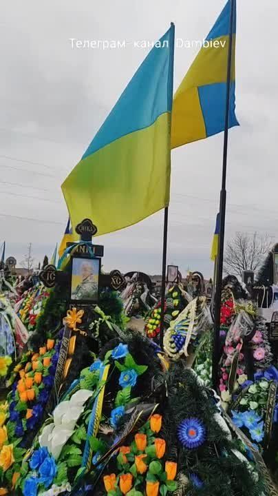 ������ �������: �������� �������� � ������������� ���������� � �������� ������� �������