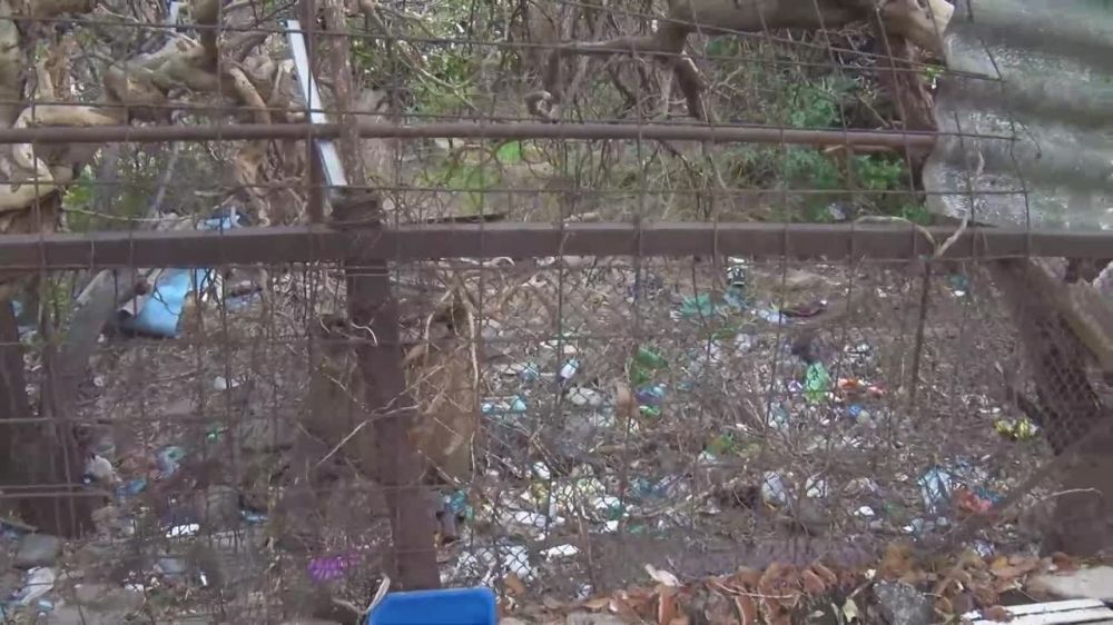 Янина Павленко: И снова обход МКД и встречи с жителями