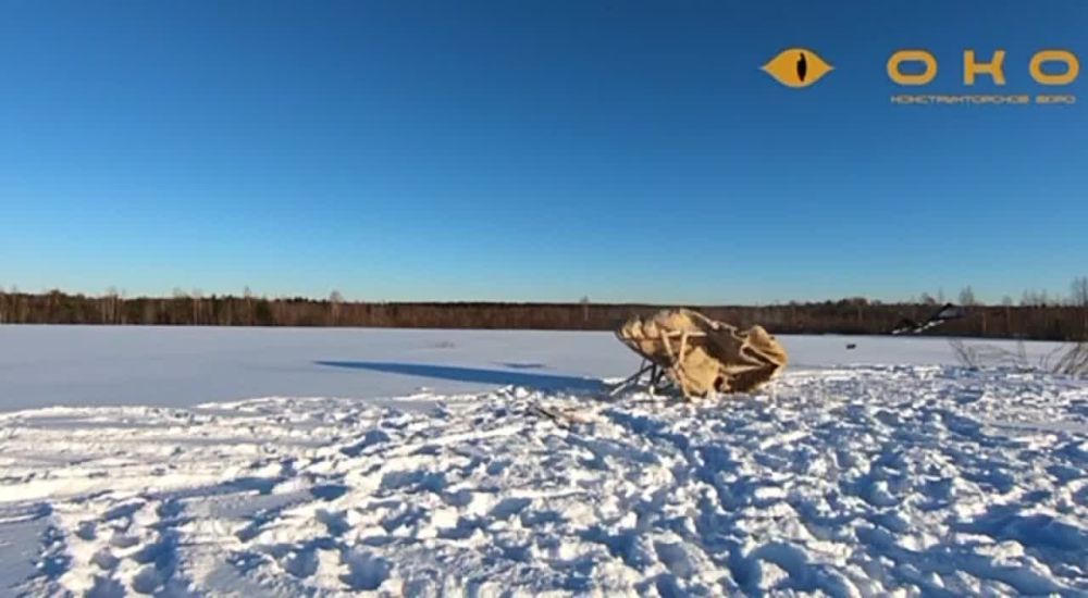 Российские энтузиасты представили БПЛА-камикадзе «Привет-82» собственной разработки