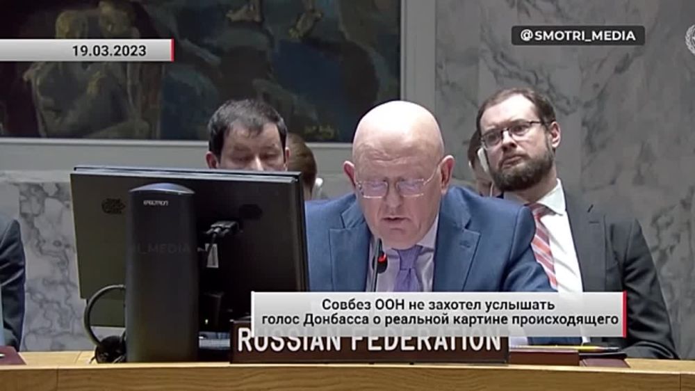 Совбез ООН не захотел услышать голос Донбасса о реальной картине происходящего